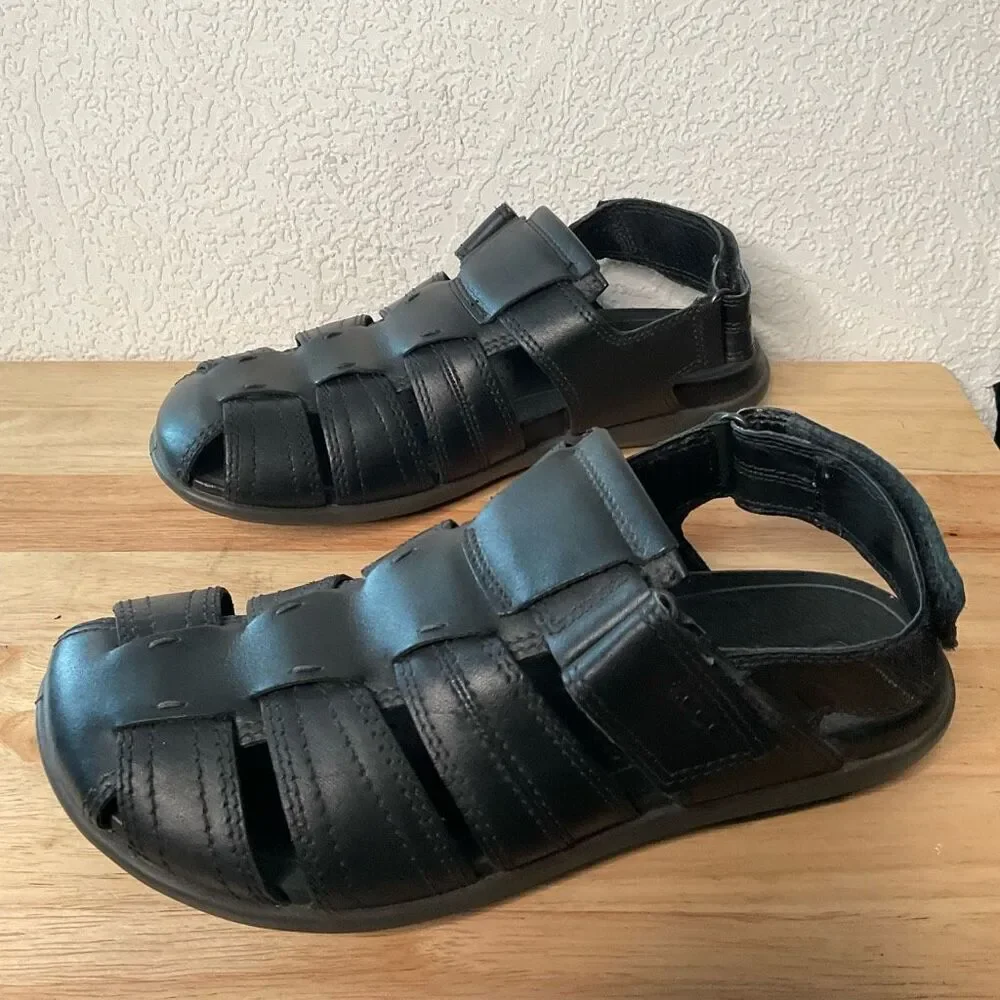 Ecco elevate your